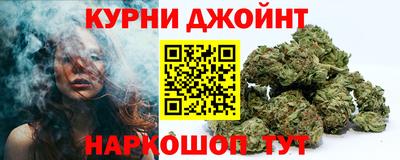 индика Лесосибирск