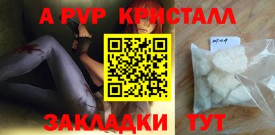 индика Лесосибирск