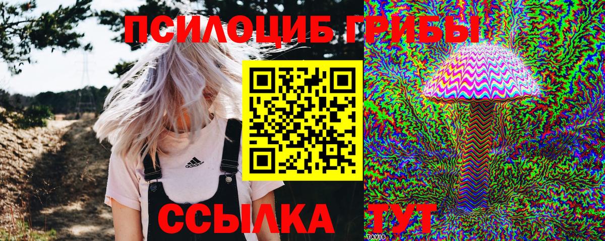 Псилоцибиновые грибы прущие грибы Бердск
