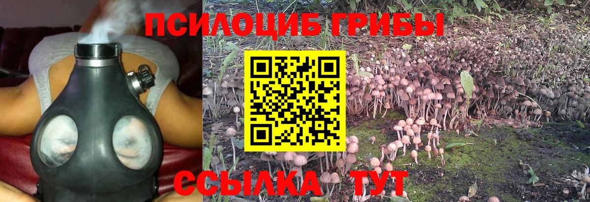 Галлюциногенные грибы Magic Shrooms  Вход с VPN  Галлюциногенные грибы мицелий  Бердск 